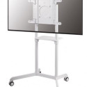 NS-M1250 WHITE floor stand 37-70'' 70KG 200x200-600x400