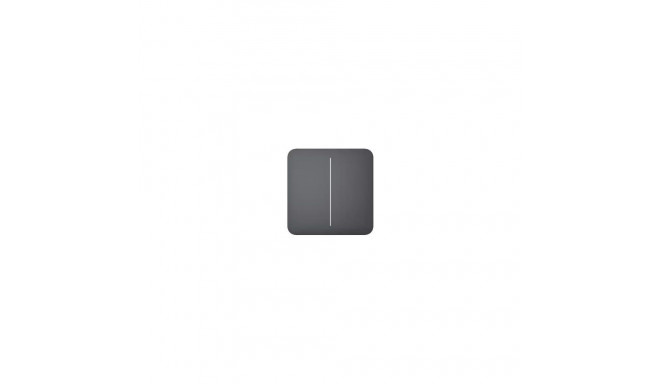 SMART SOLOBUTTON 2GANG/GRAPHITE 46016 AJAX 46016 (4823114022845)