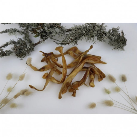 Tessa dried sliced pig ears for dogs 100g