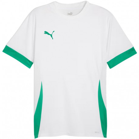 Puma meeste särk teamGoal Matchday Jersey 705747 15 XL, valge-roheline