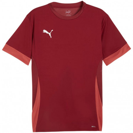 Puma meeste särk teamGoal Matchday Jersey 705747 09 M, bordoopunane