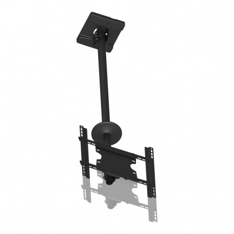 MB PUBLIC CEILINGMOUNT MEDIUM SINGLE TUV