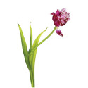 Kaiser LED valguskast plano 32x22,8cm