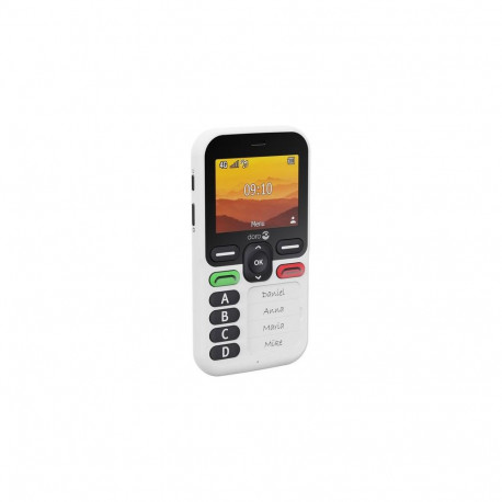 Doro Leva X10 6.1 cm (2.4&quot;) 117 g Black, White Senior phone