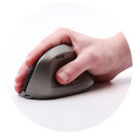 ORDISSIMO ART0391 mouse Office Right-hand RF Wireless Optical 1600 DPI