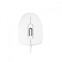 M10 WHITE MOUSE