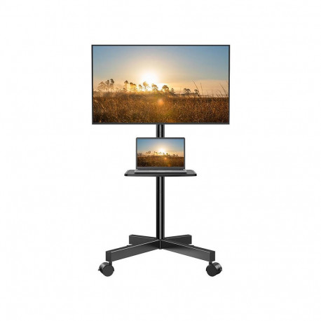 TV mount 23-60" Perlesmith PSTVMC06