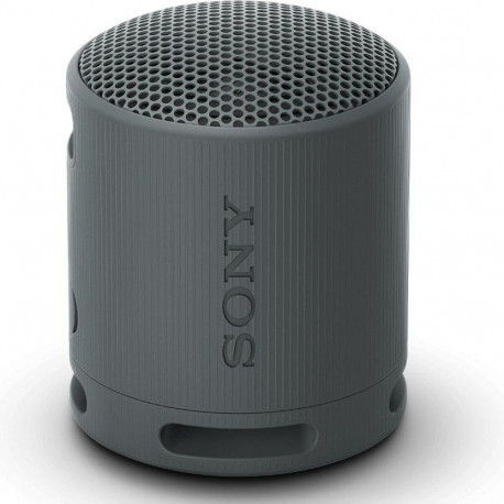 Portable Bluetooth Speakers Sony XB100 Black