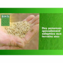 Seeds BHS 3 Kg Seeds BHS 3 Kg