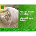 Seeds BHS 10 kg