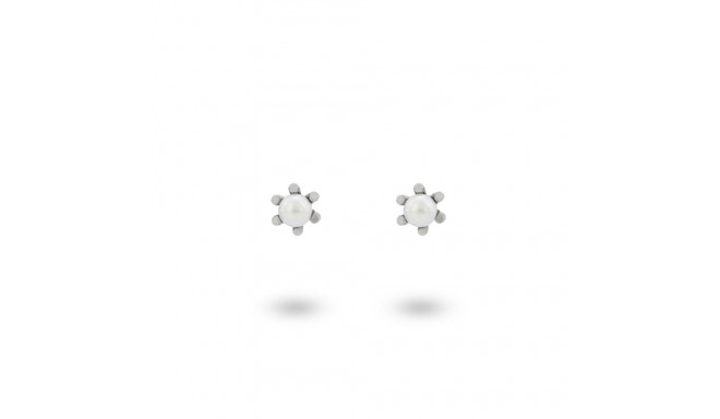 Naiste Kõrvarõngad 24KAE 42420S Hõbedane