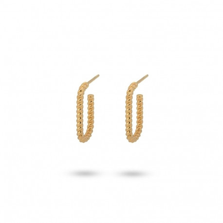 Naiste Kõrvarõngad 24KAE 42441Y Kuldne