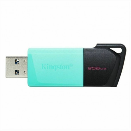 USB stick Kingston DTXM/256GB Black 256 GB