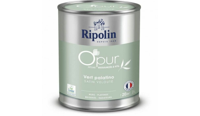 Primer Paint Ripolin