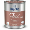 Primer Paint Ripolin