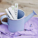 Decorative watering can Decoris Assorted colours Zinc
