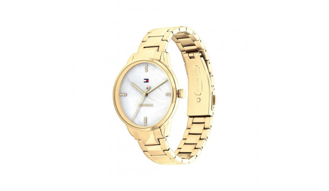 Ladies' Watch Tommy Hilfiger 1782546 (Ø 36 mm)