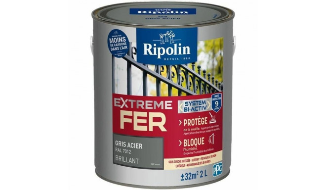 Antioxidant Enamel Ripolin Grey Shiny