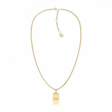 Naiste Kaelakee Tommy Hilfiger 2780862 50 cm