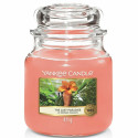Lõhnastatud küünal Yankee Candle The Last Paradise