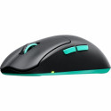 Wireless Mouse Cherry