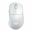Wireless Mouse Cherry