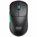 Wireless Mouse Cherry