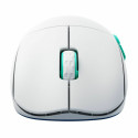 Wireless Mouse Cherry