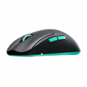 Wireless Mouse Cherry