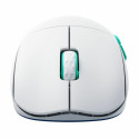Wireless Mouse Cherry