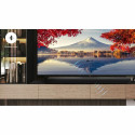 Heliriba TCL S45HE 50 W 40 W