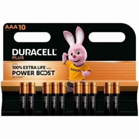 Laetavad Akud DURACELL DPBLR3B10 1,5 V AAA