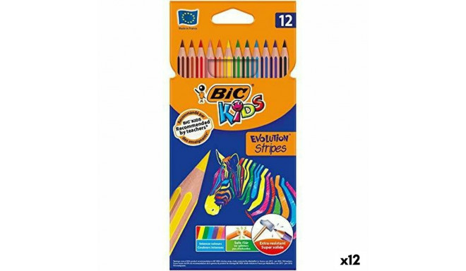 Värvilised pliiatsid Bic KIDS EVOLUTION STRIPES Mitmevärviline 12 Tükid, osad (12 Ühikut)