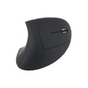 Ergonomic Optical Mouse Equip 245110 Right hand