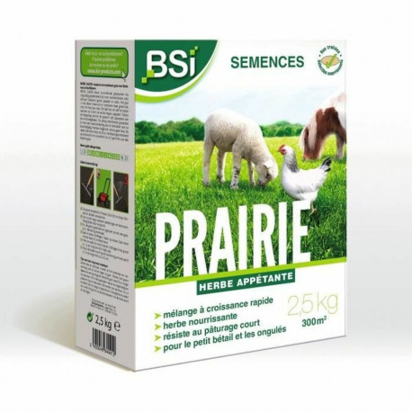 Seeds BSI