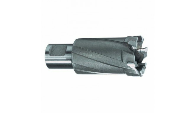 Hollow drill bit RUKO Weldon