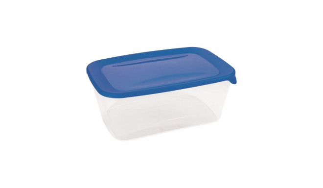 Curver Fresh&Go Food container 3L