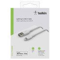 Belkin Lightning laadimis/sünkroonimiskaabel 3m, PVC, valge, mfi sertifikaadiga