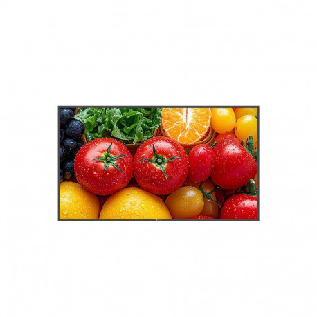 AG Neovo QM-5503 Flat panel monitor Digital Signage 55" 500 cd/m² 4K Ultra HD Black