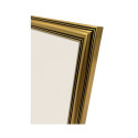 Focus Holly Gold 30x40