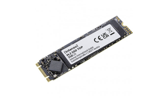 "M.2 256GB Intenso Top Performance"