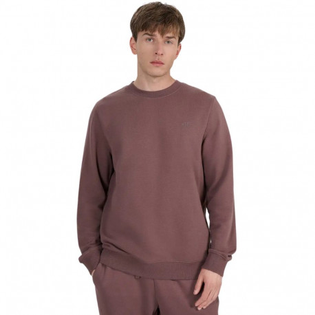 4F meeste pusa M1981 4FWAW25TSWSM1981 81S M, pruun