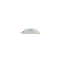 Havit MS1034 - gaming mouse, white