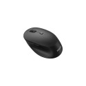 Philips SPK7607B/00 mouse Office Right-hand RF Wireless + Bluetooth Optical 3200 DPI