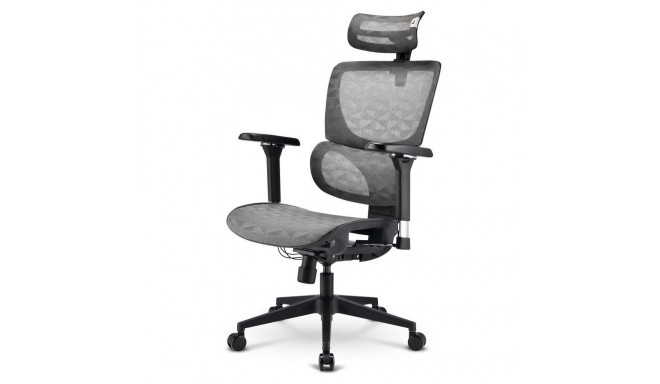"Sharkoon Brostuhl OfficePal C40M (grau)"