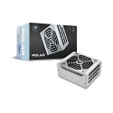 "1050W COUGAR Netzteil Polar 1050W ATX3.1 / 80 Plus Plat./Modular"