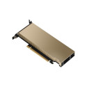 "24 GB PNY NVIDIA L4 GPU Rechenprozessor (passiv) GDDR6"