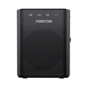 Amplifier FONESTAR