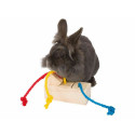 2-In-1 Treat Dispenser Toy for Pets Trixie 16 × 6 × 7 CM