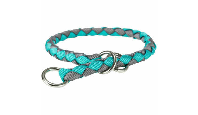 Treeningkaelarihm Trixie